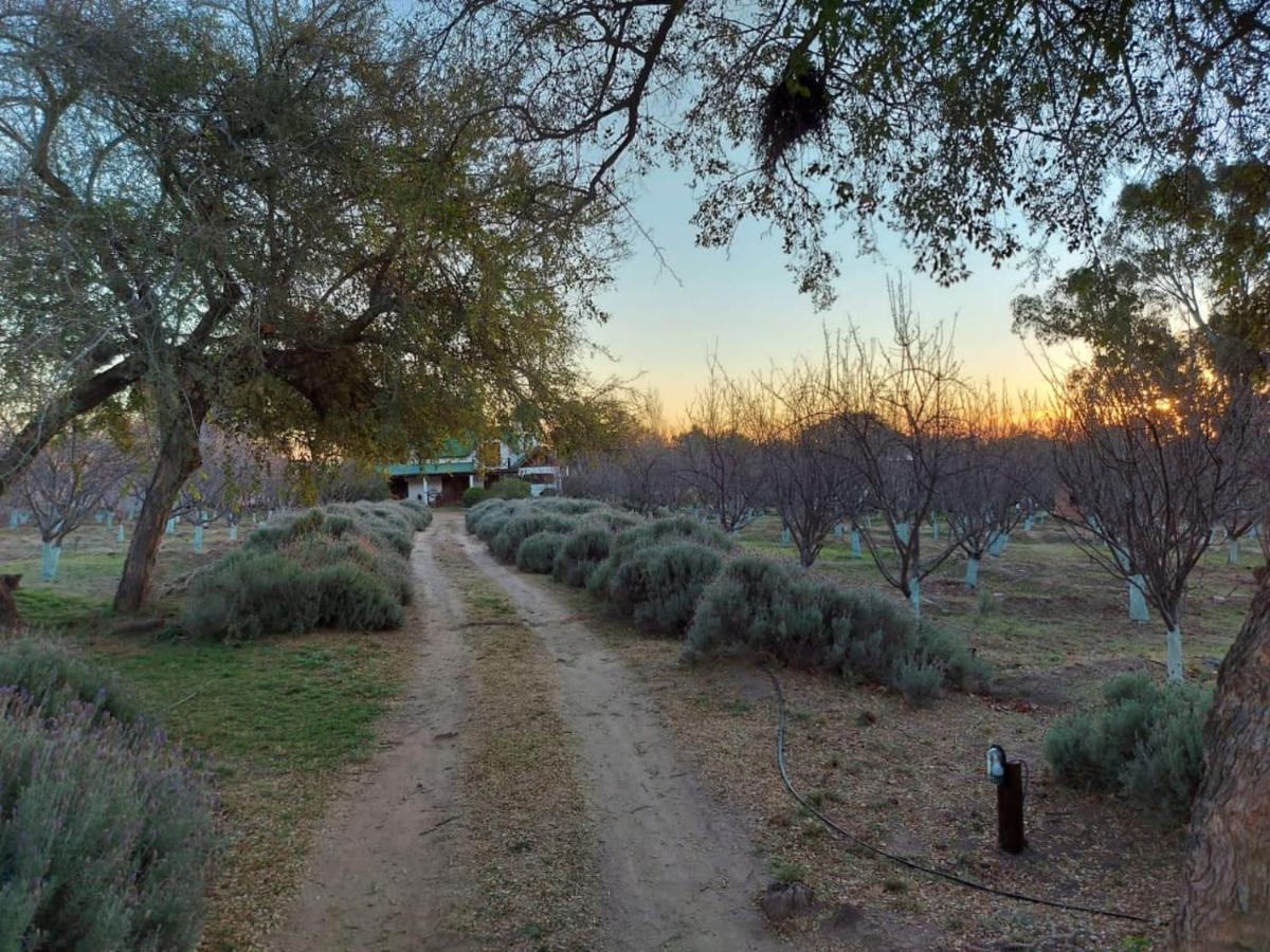 Finca La Julia Luyaba Dış mekan fotoğraf