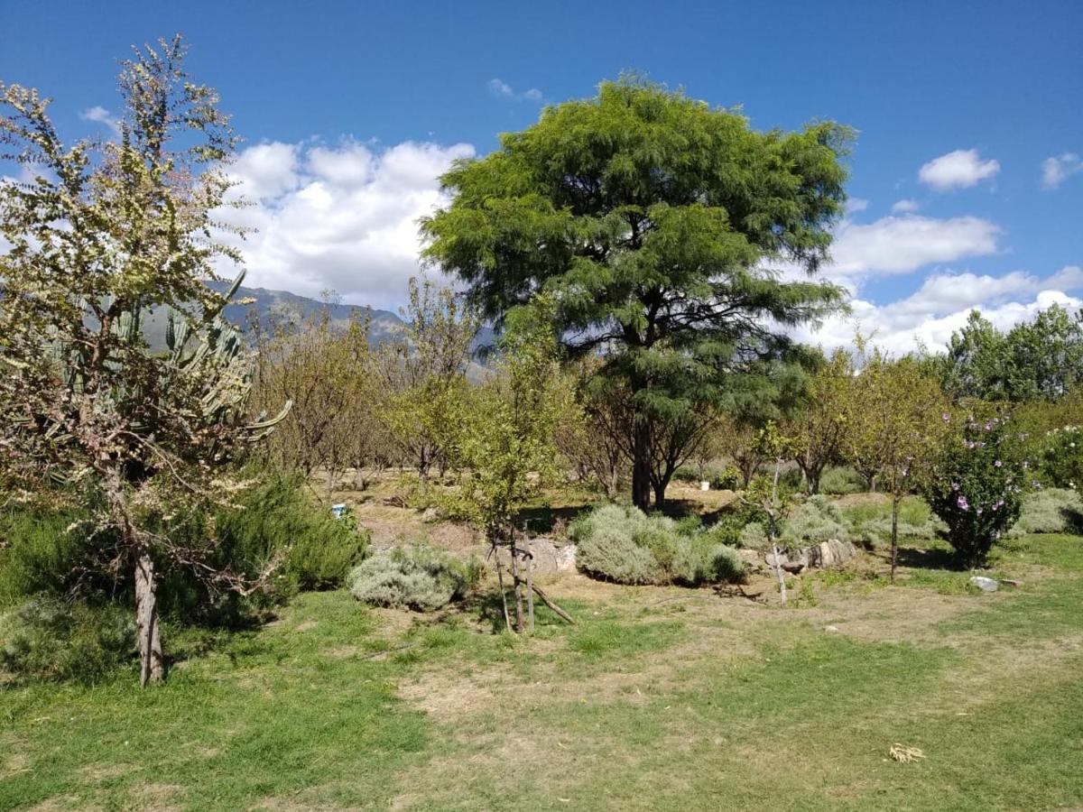 Finca La Julia Luyaba Dış mekan fotoğraf