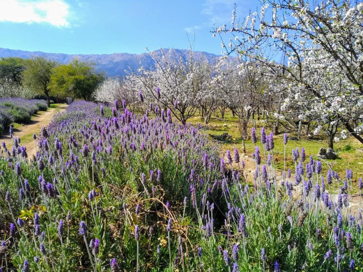 Finca La Julia Luyaba Dış mekan fotoğraf