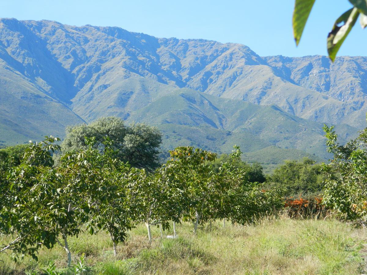 Finca La Julia Luyaba Dış mekan fotoğraf
